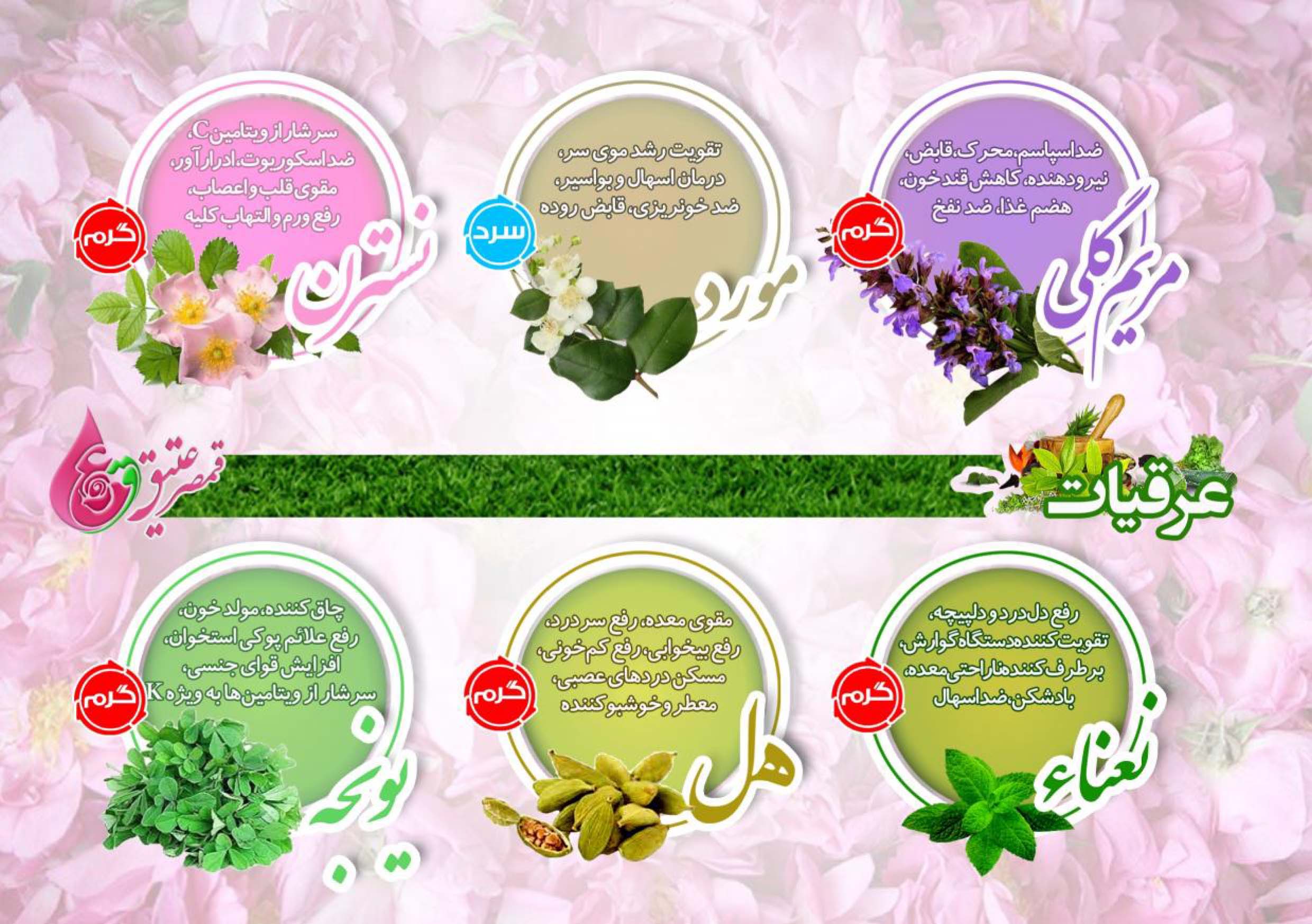 خرید گلاب قمصر کاشان